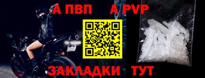 мет Кингисепп
