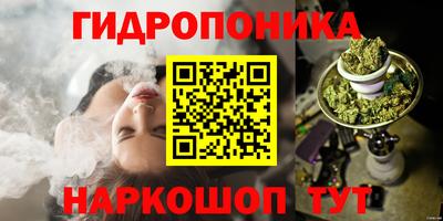 мет Кингисепп