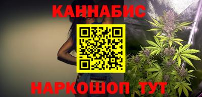 мет Кингисепп