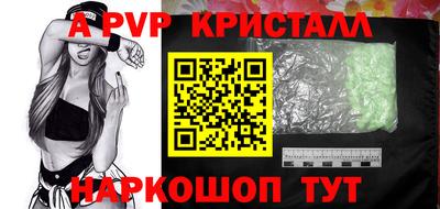 мет Кингисепп