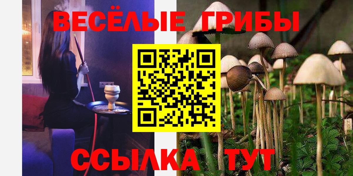 Корсаков  Галлюциногенные грибы GOLDEN TEACHER  Вход с VPN  Псилоцибиновые грибы прущие грибы 